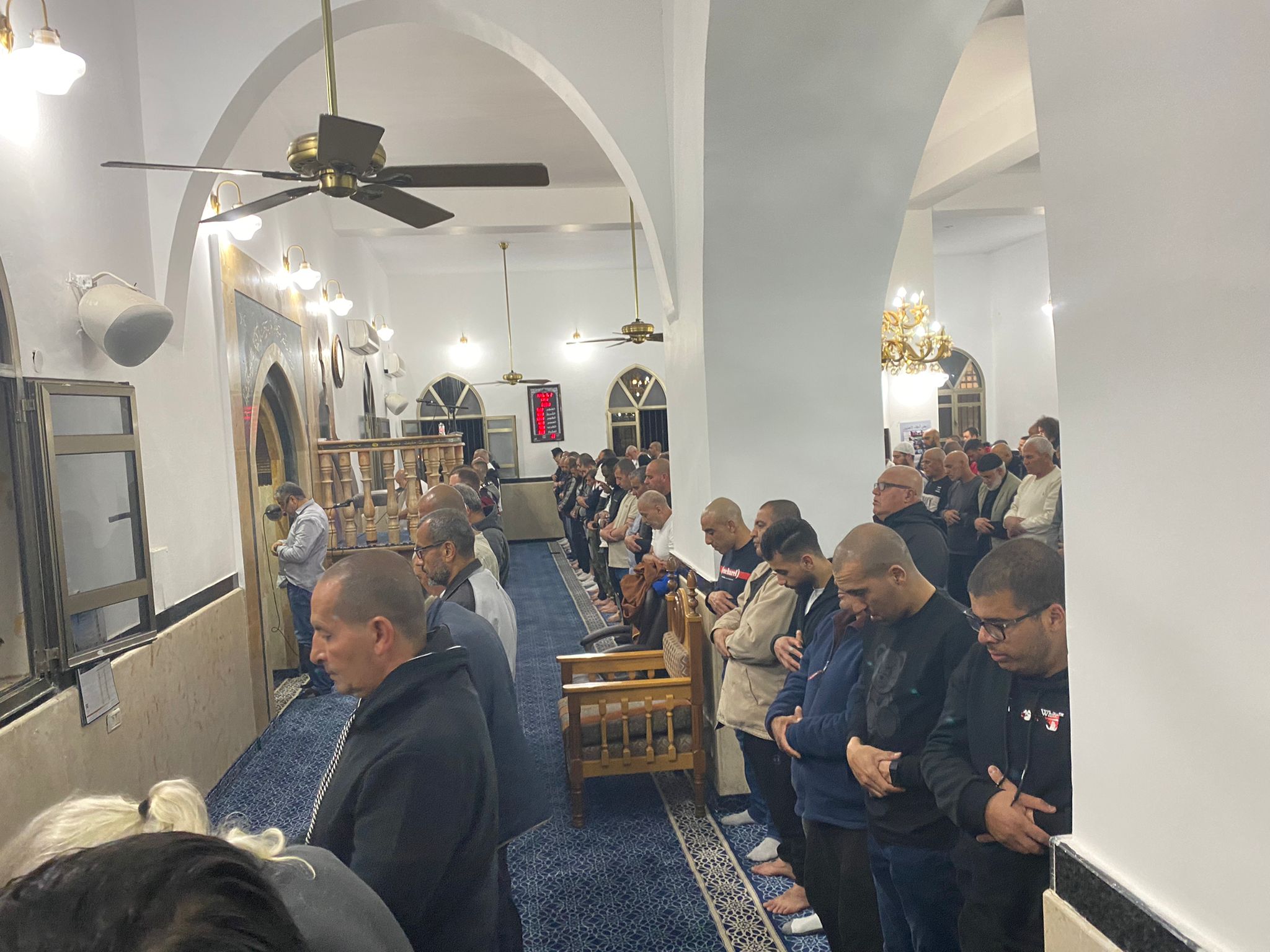 WhatsApp Image 2022-04-03 at 8.54.06 PM.jpeg